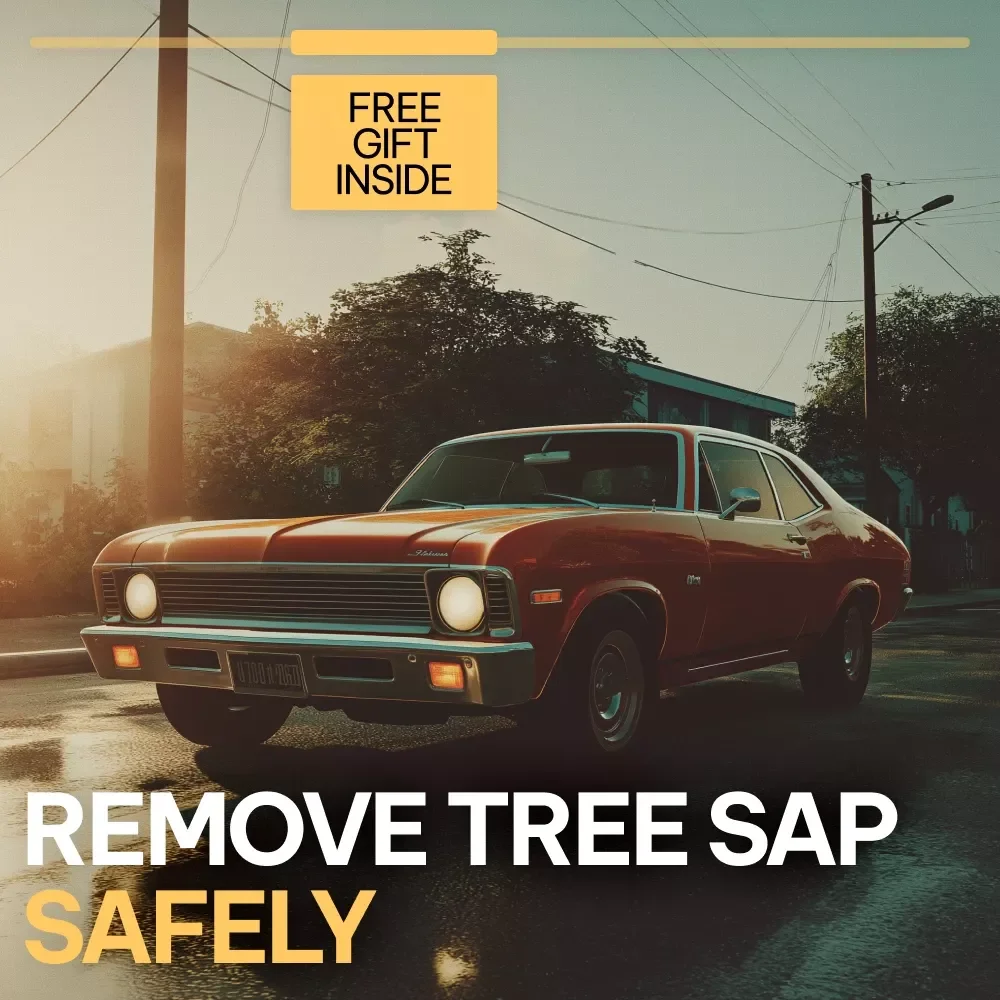 Remove Tree Sap Safely – A Complete Guide on how to get tree sap off car paint | Paint-Safe Methods, AI Prompts & Prevention Tips