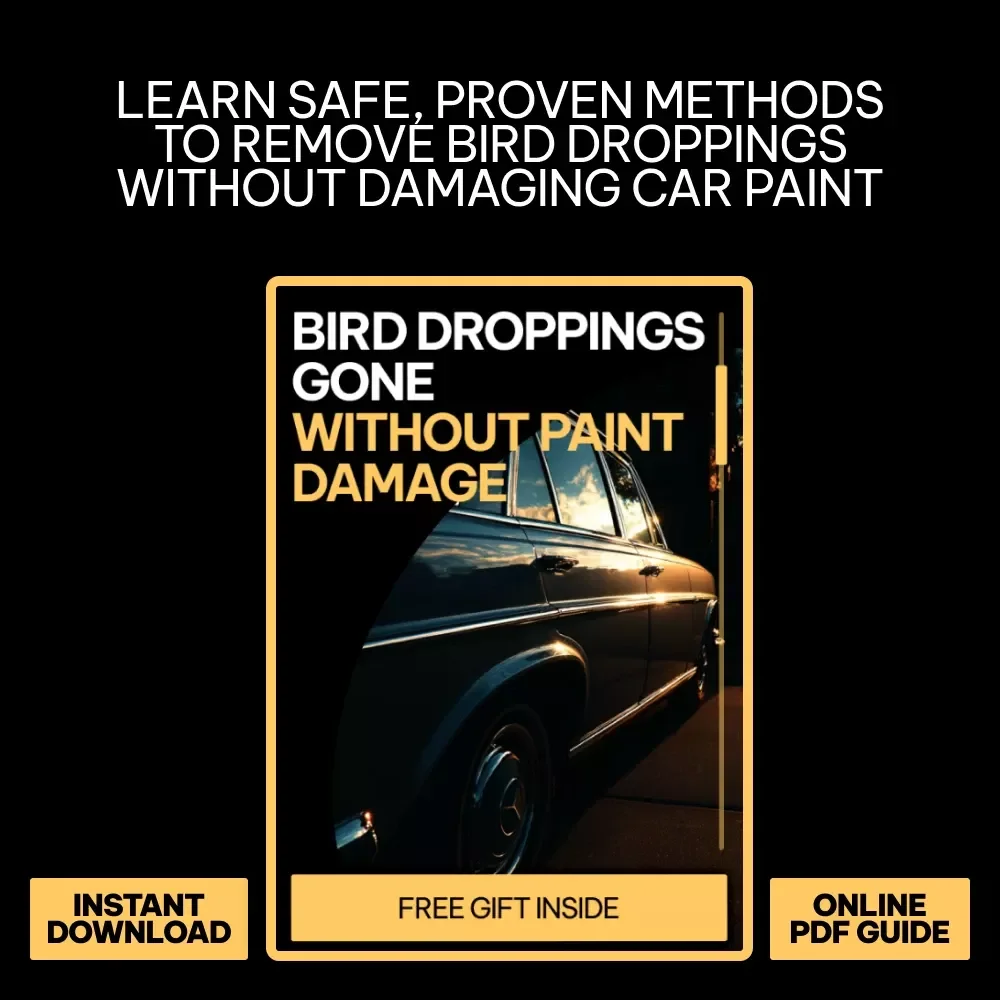 Bird Droppings Gone Without Paint Damage – A Practical Guide on how to remove bird droppings from car paint Safely & Easily