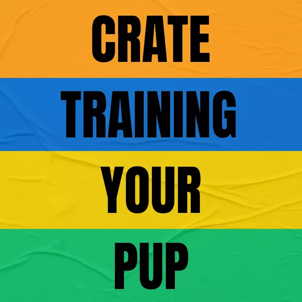 Crate Training Your Pup – A Practical Ebook Guide to Dog Crate Training Basics for Happy, Calm Dogs | Instant Digital Download