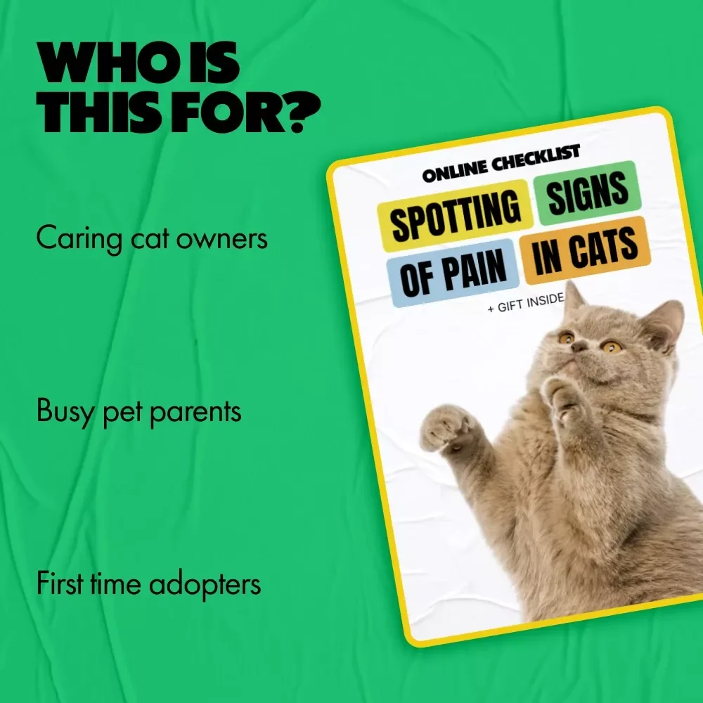 Spotting Signs of Pain in Cats – Printable Checklist for Pet Owners | Easy Guide to Signs of Pain in Cats