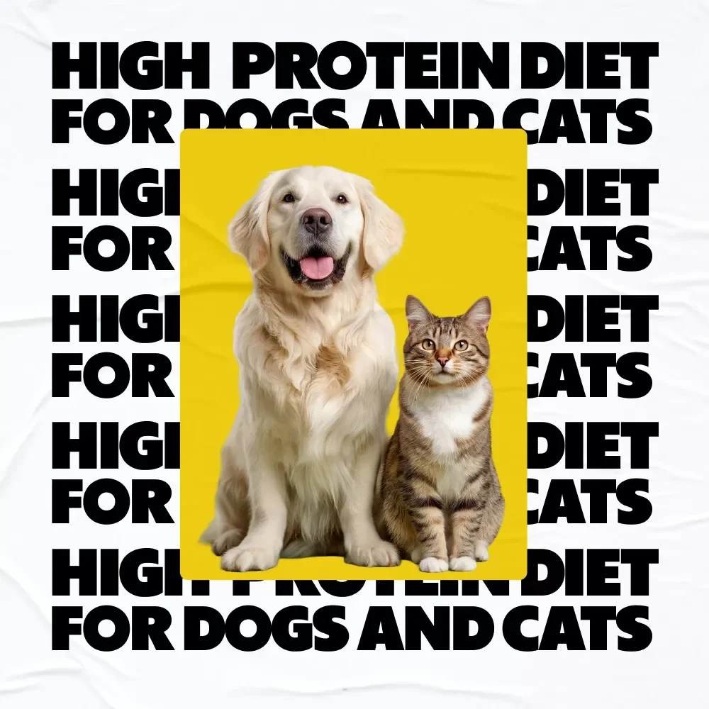 High-Protein Diet for Dogs and Cats | Ebook Guide on High Protein Diet Benefits for Pets, Nutrition Planning & Healthy Feeding