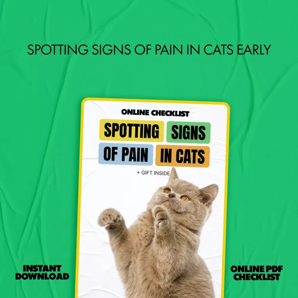 Spotting Signs of Pain in Cats – Printable Checklist for Pet Owners | Easy Guide to Signs of Pain in Cats