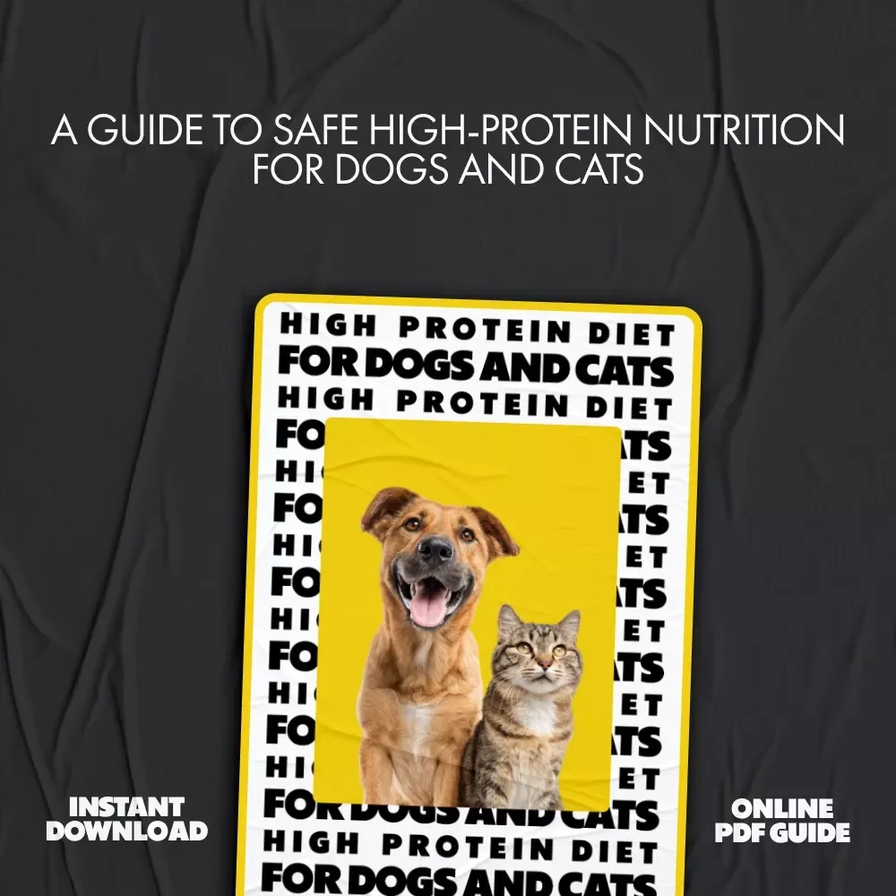 High-Protein Diet for Dogs and Cats | Ebook Guide on High Protein Diet Benefits for Pets, Nutrition Planning & Healthy Feeding