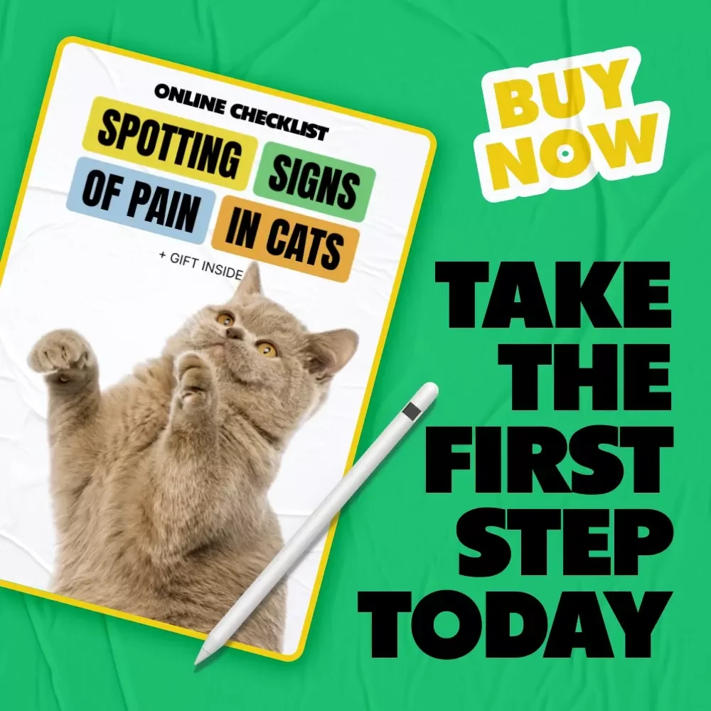 Spotting Signs of Pain in Cats – Printable Checklist for Pet Owners | Easy Guide to Signs of Pain in Cats