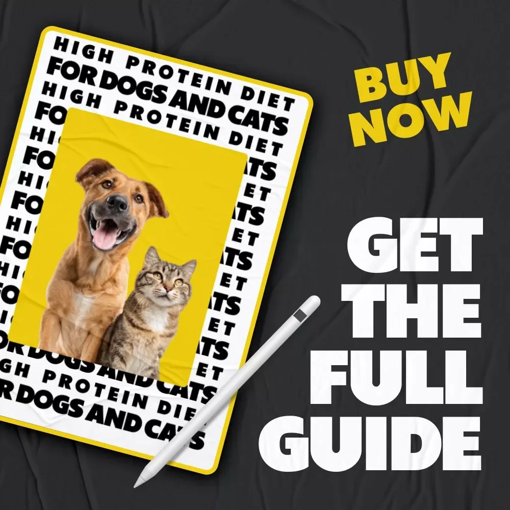 High-Protein Diet for Dogs and Cats | Ebook Guide on High Protein Diet Benefits for Pets, Nutrition Planning & Healthy Feeding