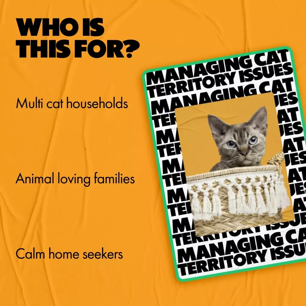 Managing Cat Territory Issues – Practical Guide for Peaceful Multi-Cat Homes | cat territory issues explained | Instant Digital Download