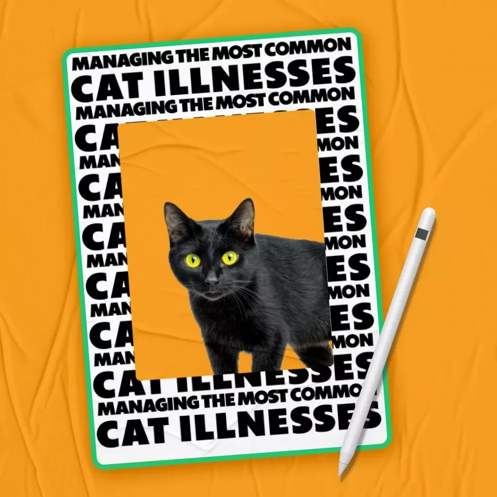 Managing the Most Common Cat Illnesses – Practical eBook Guide for Cat Owners