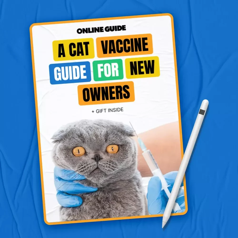A Cat Vaccine Guide for New Owners: A Comprehensive Digital Download for Healthy Cats
