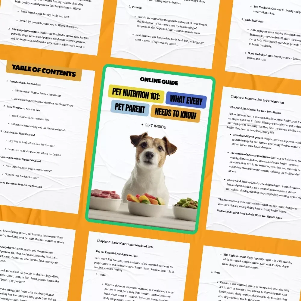 Pet Nutrition 101: What Every Pet Parent Needs to Know | Essential Pet Food Guide, Nutrition Basics Every Pet Parent Should Know | Digital eBook Download