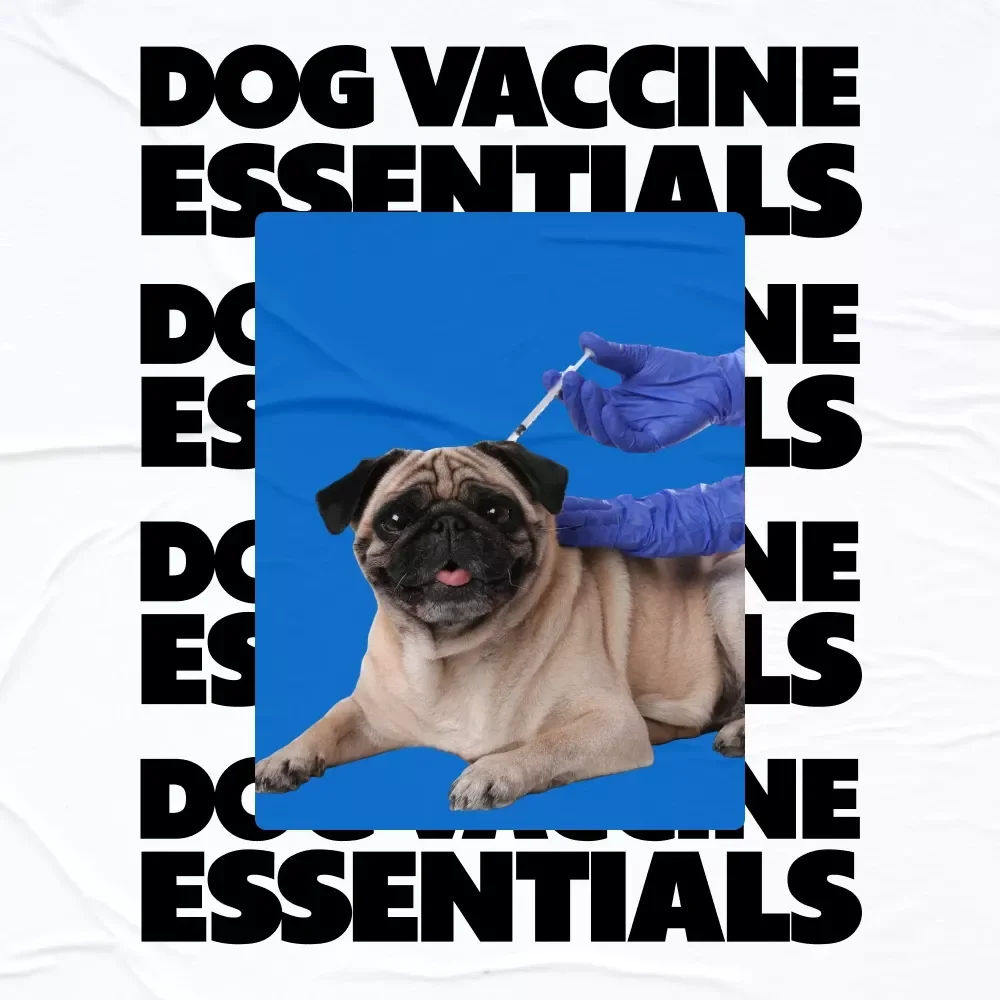 Dog Vaccine Essentials: Ultimate Guide to Puppy & Adult Vaccine Schedules, Tips & AI Tools for Tracking