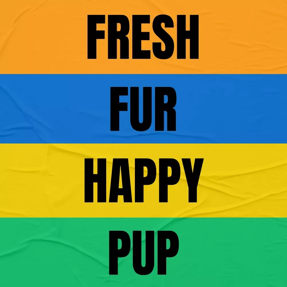 Fresh Fur, Happy Pup: The Ultimate Grooming Guide for Your Dog's Health and Happiness - eBook Download