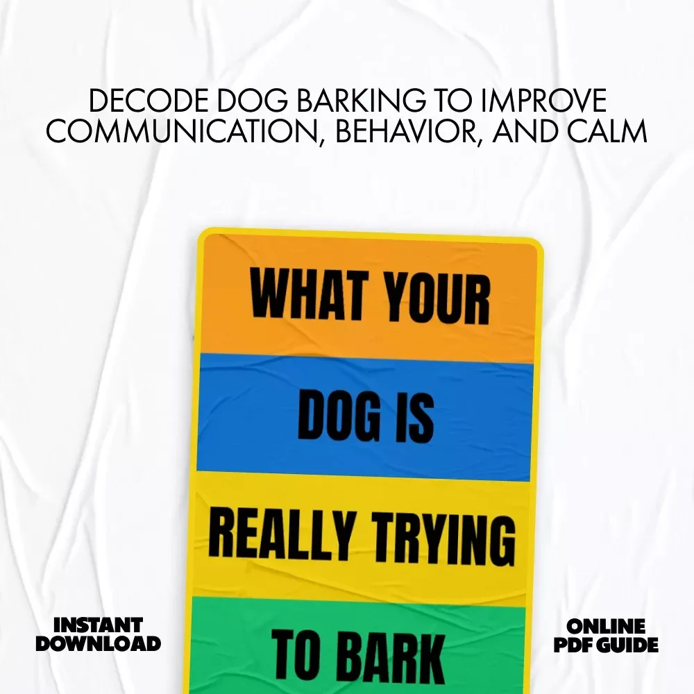 What Your Dog is Really Trying to Bark – A Practical Guide to Dog Barking Meaning Explained for Calm, Confident Owners