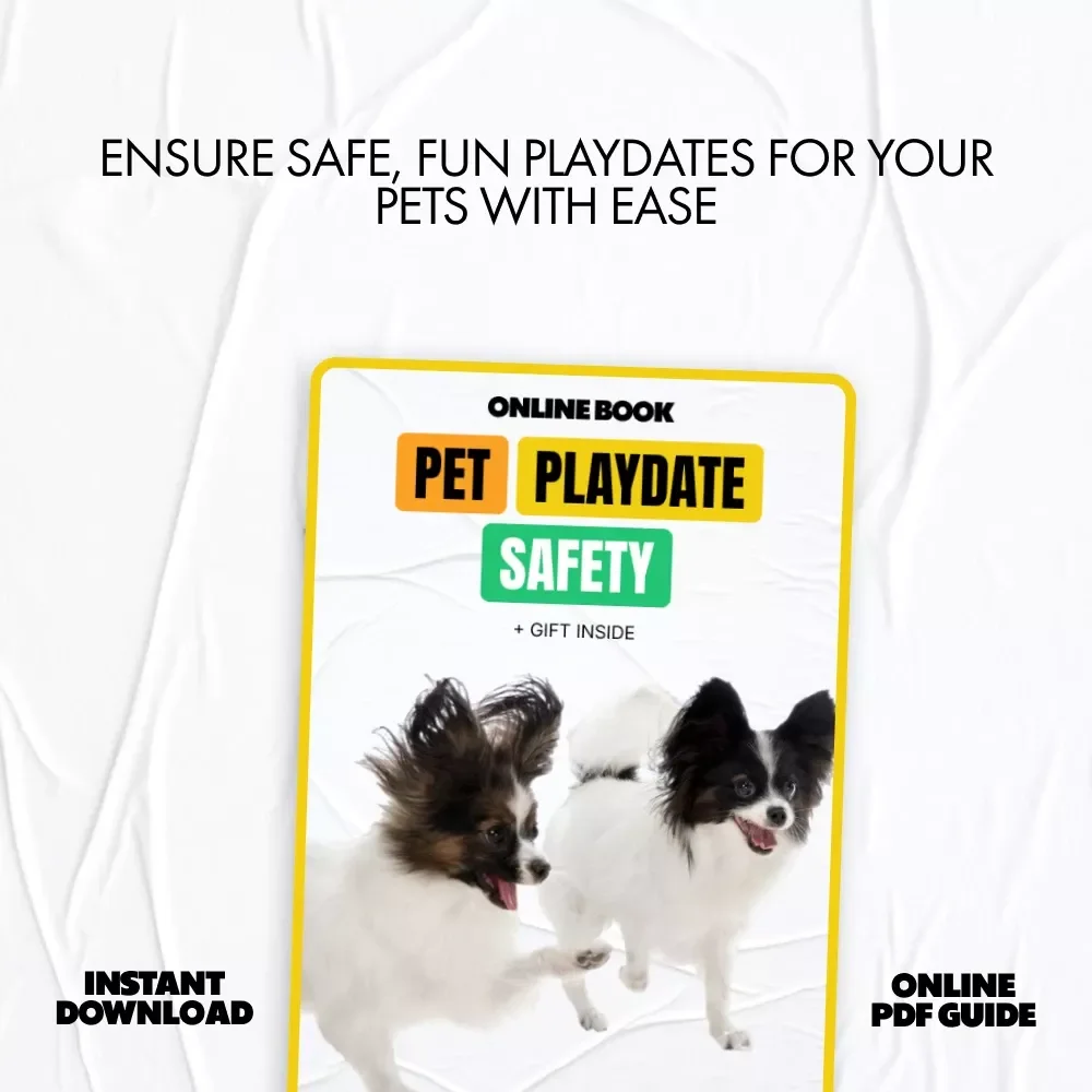 Pet Playdate Safety: The Ultimate Guide for a Fun & Safe Pet Playdate
