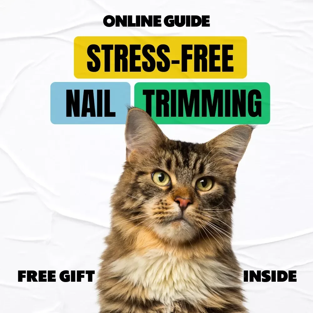 Stress-Free Nail Trimming: The Ultimate Guide for Cat Owners - Step-by-Step Techniques & Smart Tips for Easy Claw Care