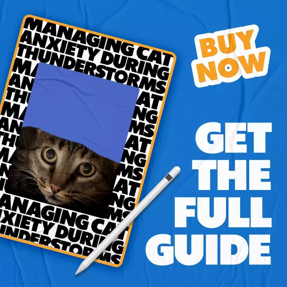 Managing Cat Anxiety During Thunderstorms | Calm Your Cat with Confidence | Practical eBook Guide for cat anxiety at thunderstorms