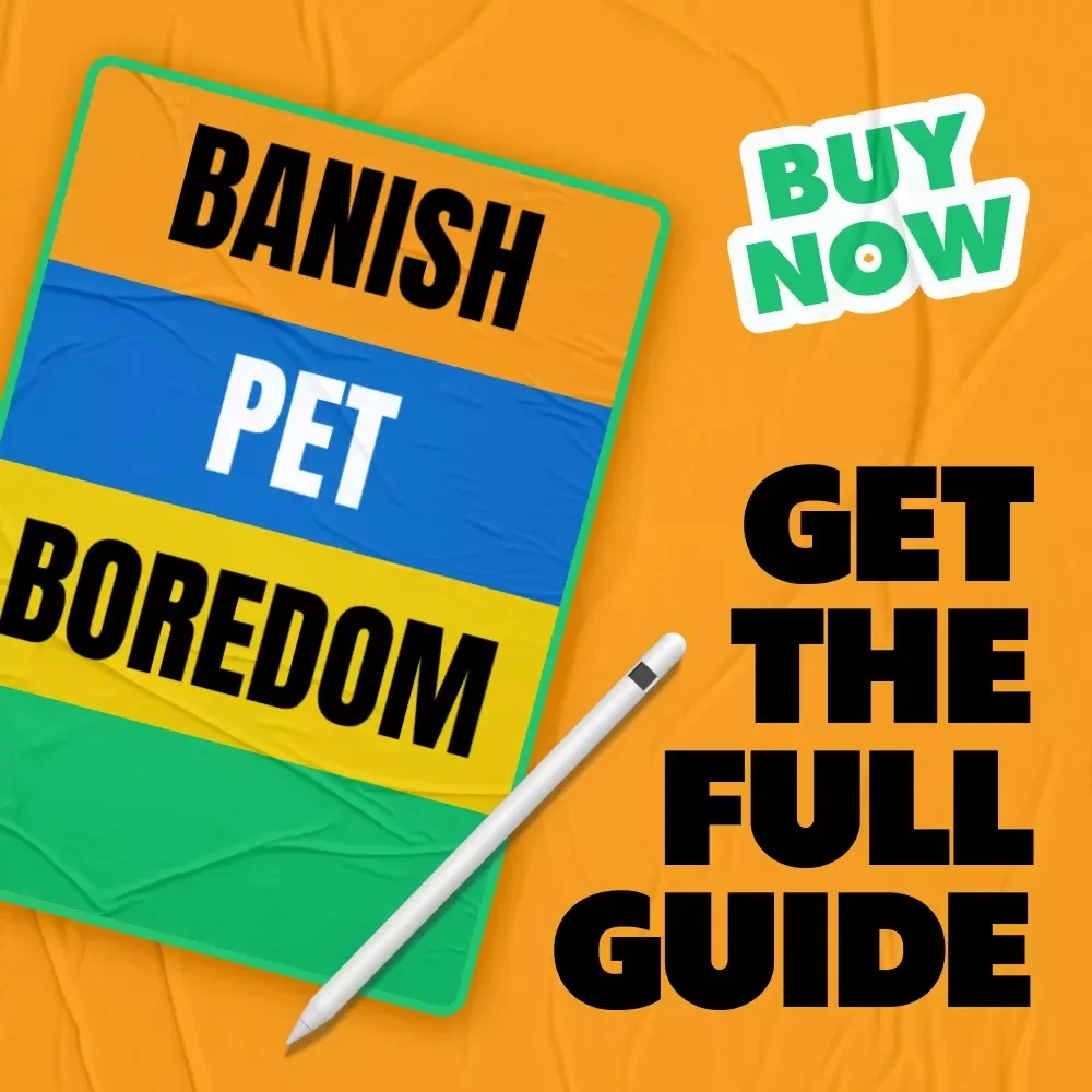 Banish Pet Boredom: The Ultimate Guide to Reducing Pet Boredom and Keeping Your Pets Happy