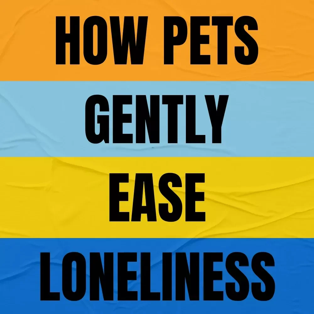 How Pets Gently Ease Loneliness – A Practical Guide on how can pets help with loneliness, Emotional Support, Connection & Daily Comfort