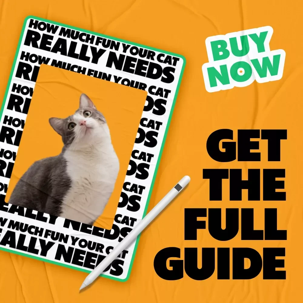 How Much Fun Your Cat Really Needs: The Ultimate Guide to Understanding How Much Play Does My Cat Need for a Happy, Healthy Feline