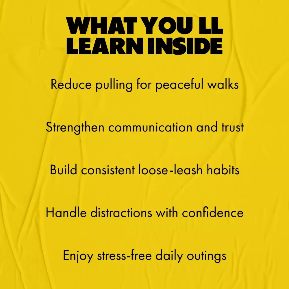 Mastering the Best Leash Walking Habits | Dog Training Digital Download | Loose-Leash Walking Guide | Leash Walking Tips for Calm, Happy Walks | Dog Behavior & Training eBook
