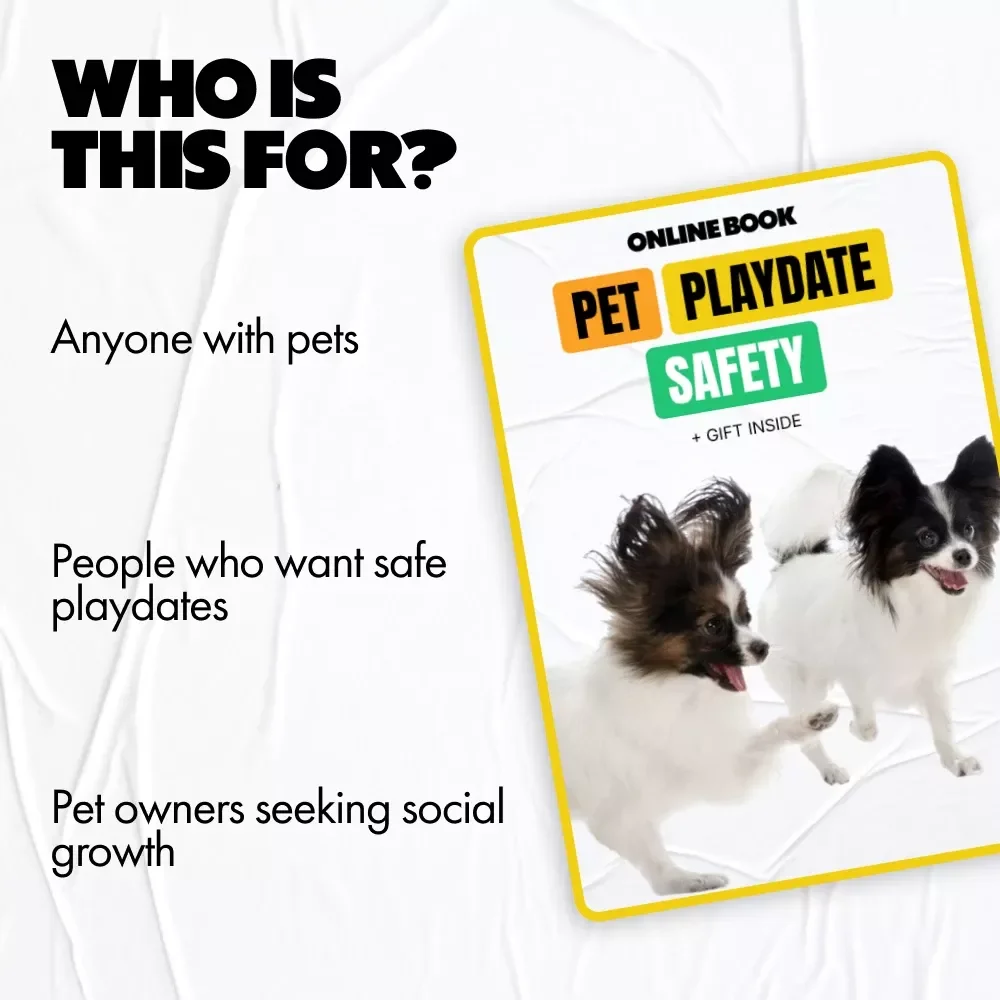 Pet Playdate Safety: The Ultimate Guide for a Fun & Safe Pet Playdate