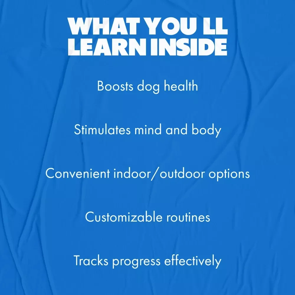 Fun Dog Exercises at Home Guide - Dog Exercise Ideas for Indoor & Outdoor Play