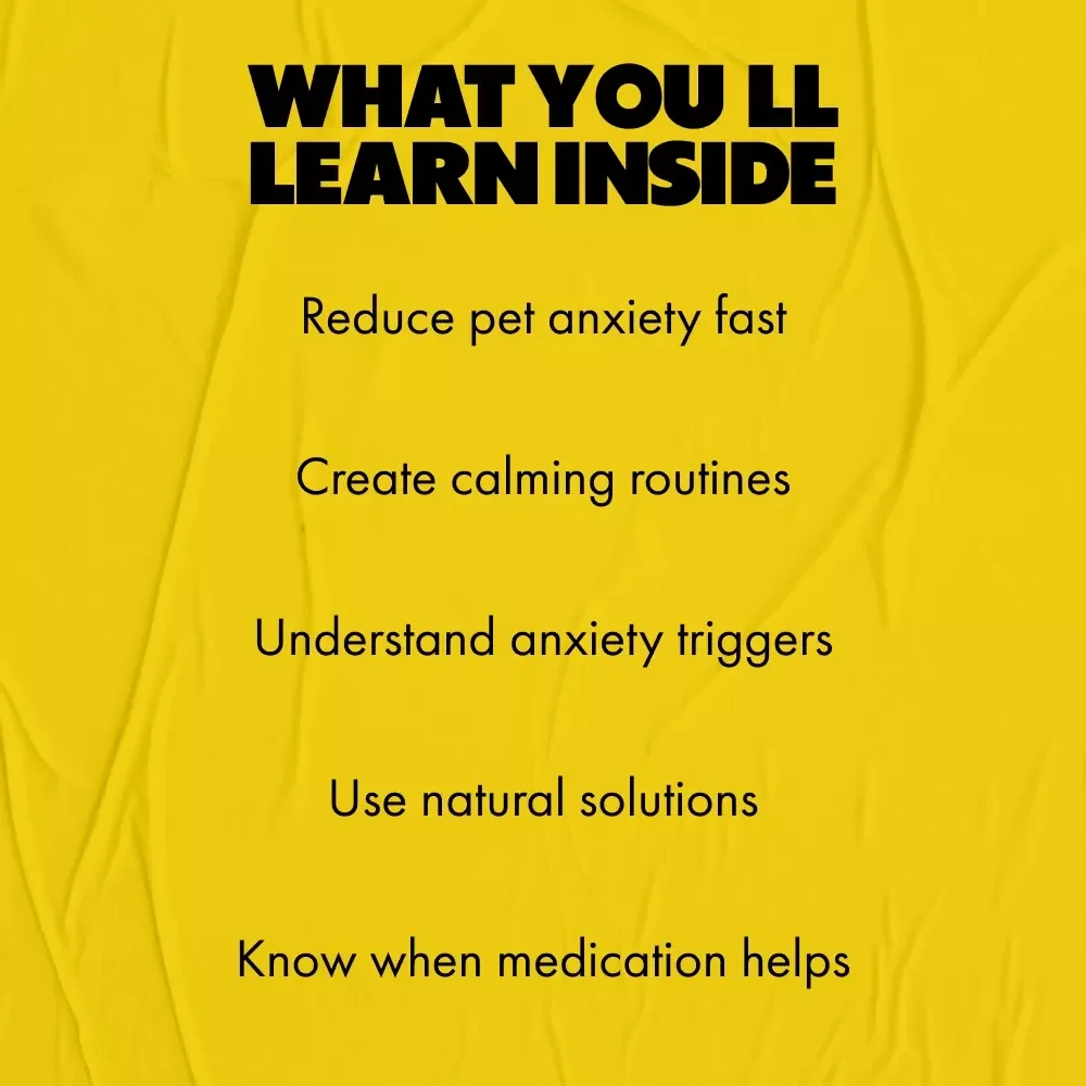 Practical Ways to Soothe Pet Anxiety | Actionable eBook Guide for Pet Anxiety Calming Options & Happier Pets