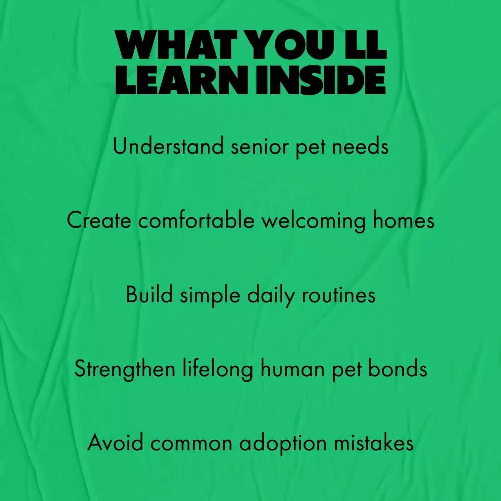 Essential Tips for Adopting Older Pets | Practical Guide with Proven Tips for Adopting Older Pets & Creating a Loving Forever Home