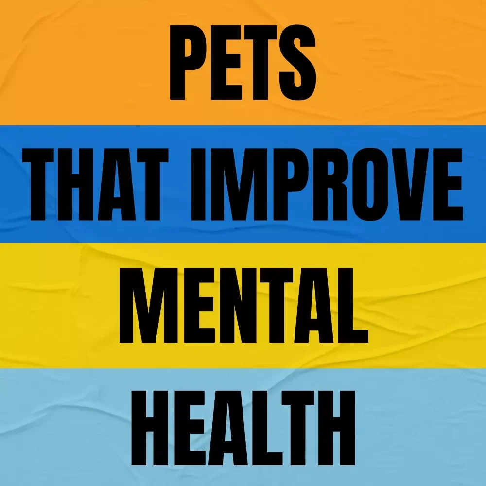 Guide to Pets That Improve Mental Health | Practical eBook on Choosing the Right Pet for Emotional Well-Being, Calm, Connection & Daily Support