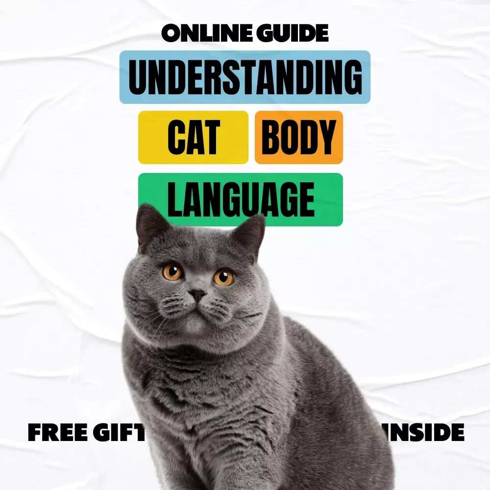 Understanding Cat Body Language: A Clear, Practical eBook Guide for Cat Owners Who Want Happier, Stress-Free Cats