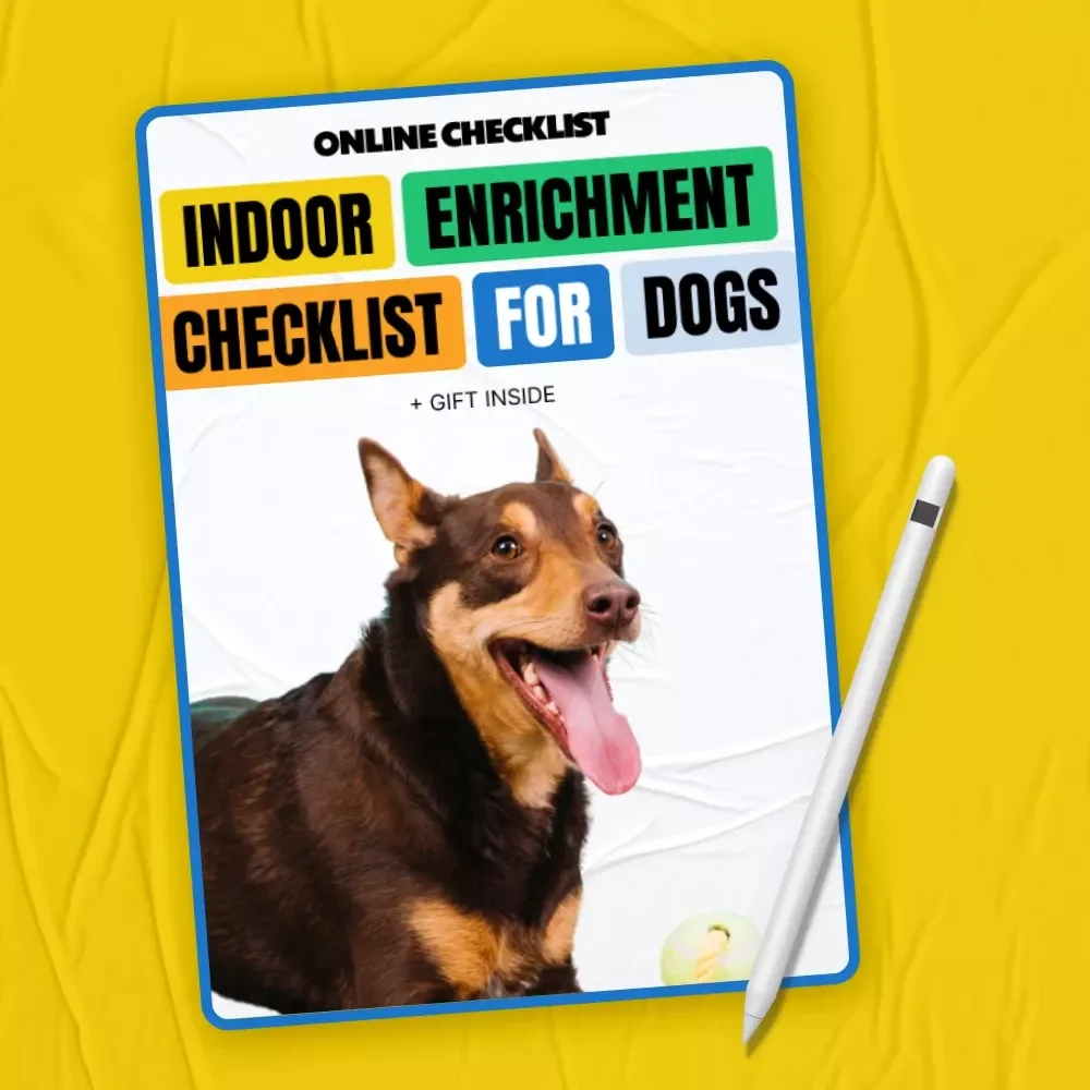 Indoor Enrichment Checklist for Dogs – Best Indoor Enrichment for Dogs Guide