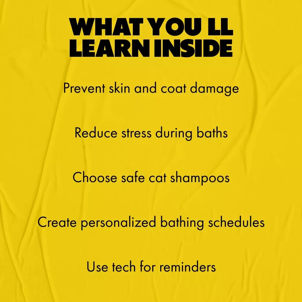 Guide to Cat Bathing Frequency – eBook for Cat Owners | Learn How Often Should I Bathe My Cat, Safe Bathing Schedules & Stress-Free Care