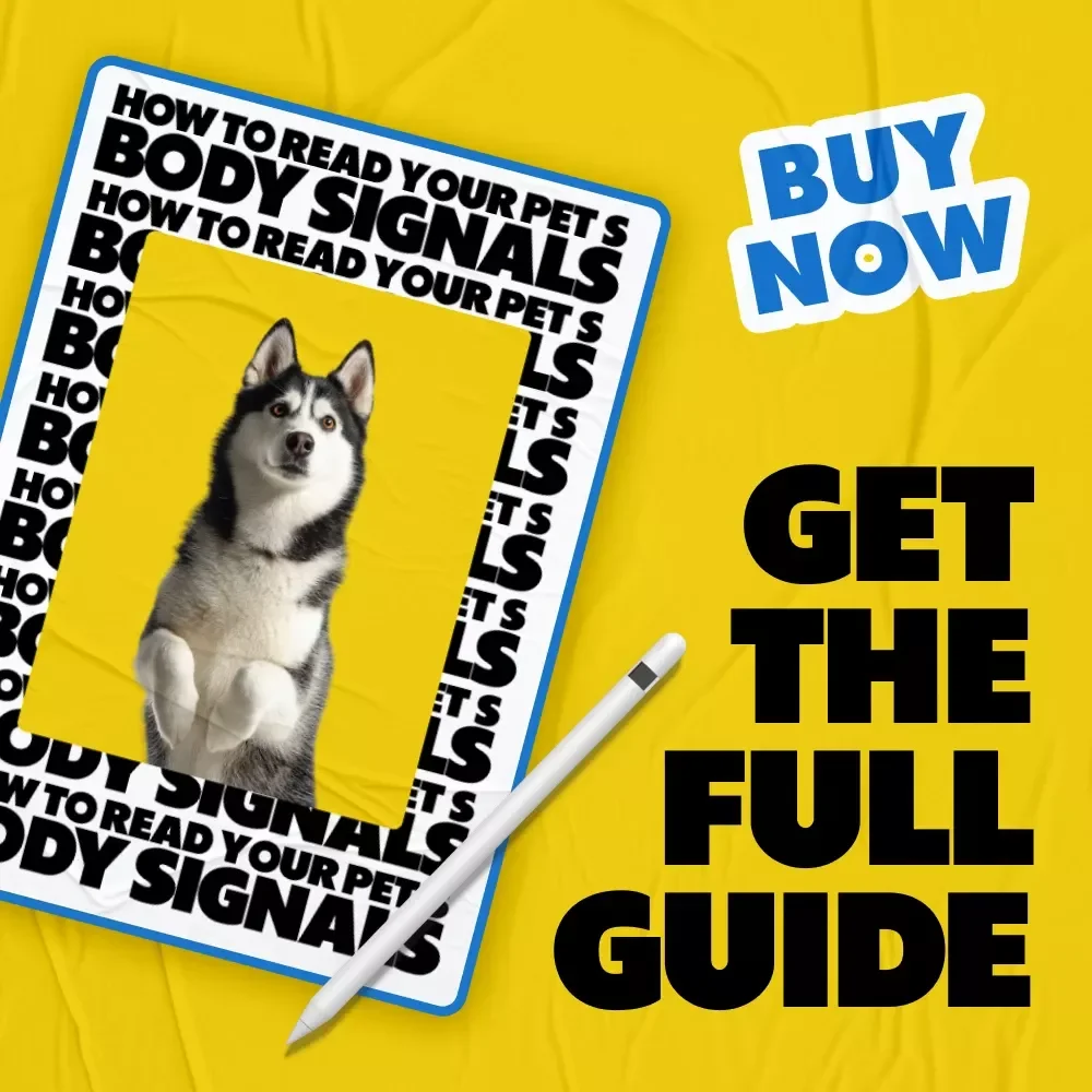 How to Read Your Pet’s Body Signals | how to read pet body signals eBook | Digital Download Guide for Understanding Pet Emotions & Communication