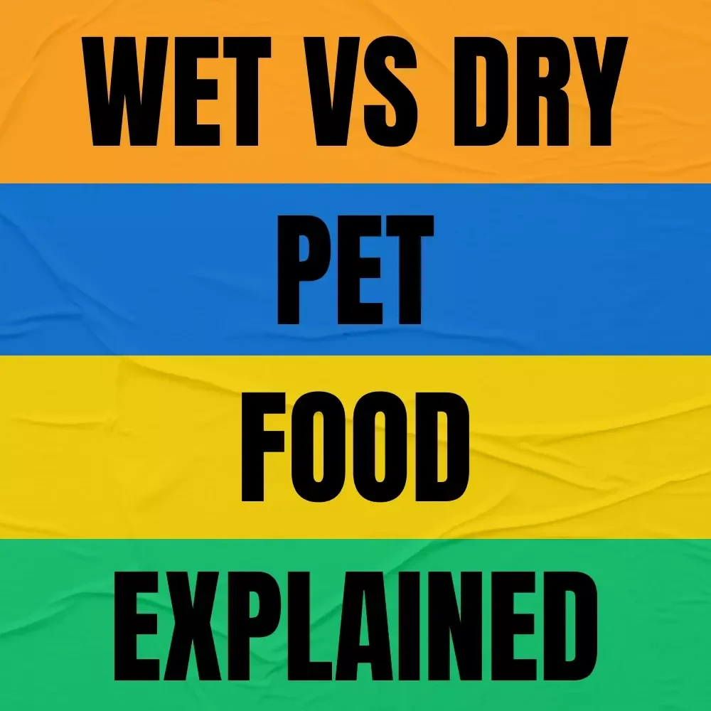 Wet vs Dry Pet Food Explained | Simple Feeding Guide for Pet Parents | Wet vs Dry Food for Pets Digital Download