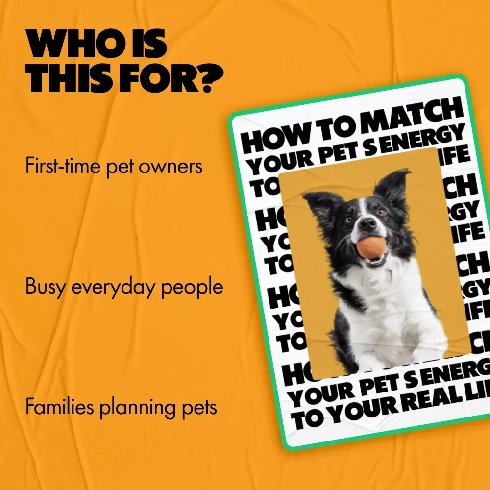 How to Match Your Pet’s Energy to Your Real Life | Practical Guide on how to match pet energy with your routine | Smart Pet Compatibility & Lifestyle Planning Download