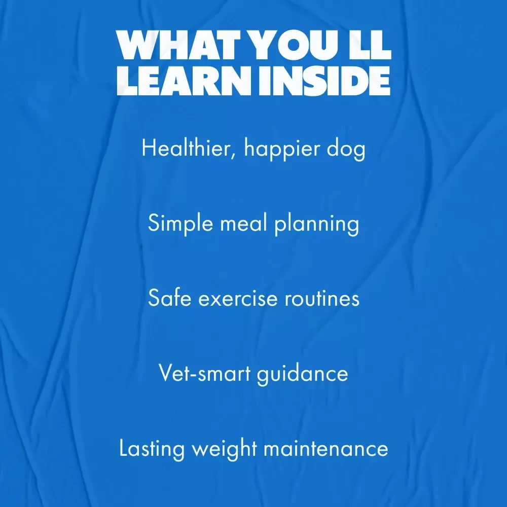 Wagging Off the Extra Pounds – A Practical Dog Weight Loss eBook for Pet Parents Wondering what to do if my dog is overweight