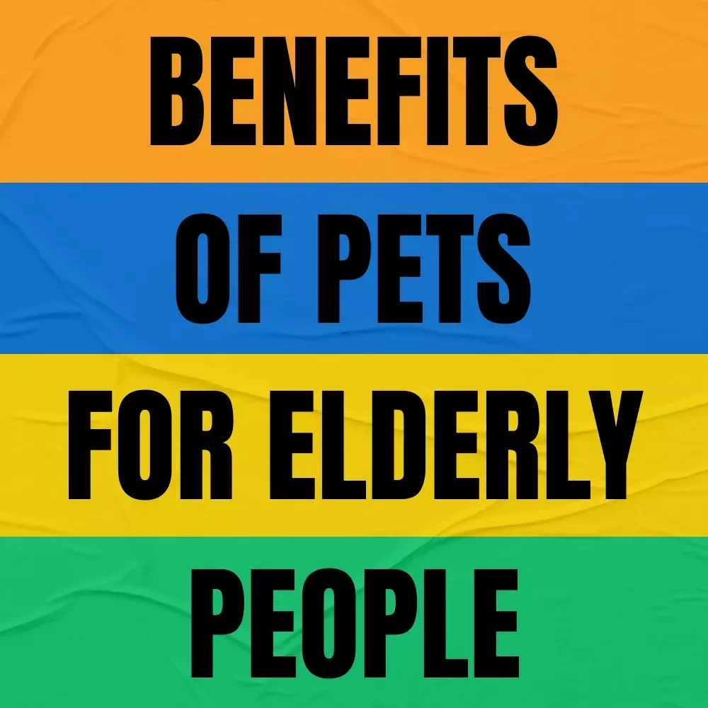 The Golden Years, Made Brighter – A Feel-Good Checklist on the Benefits of Pets for Elderly People | Printable Digital Download