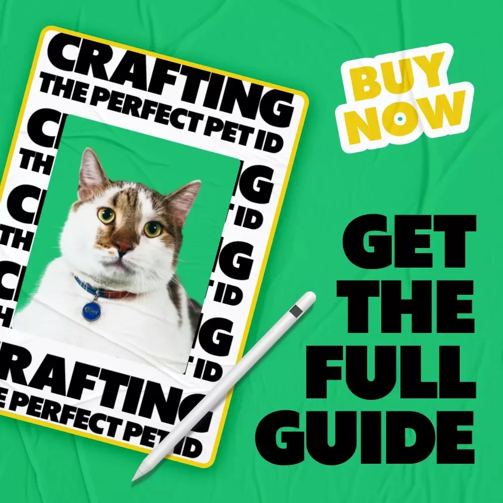 Crafting the Perfect Pet ID | The Essential Digital Guide to Pet ID Tags: What to Include & Why It Matters