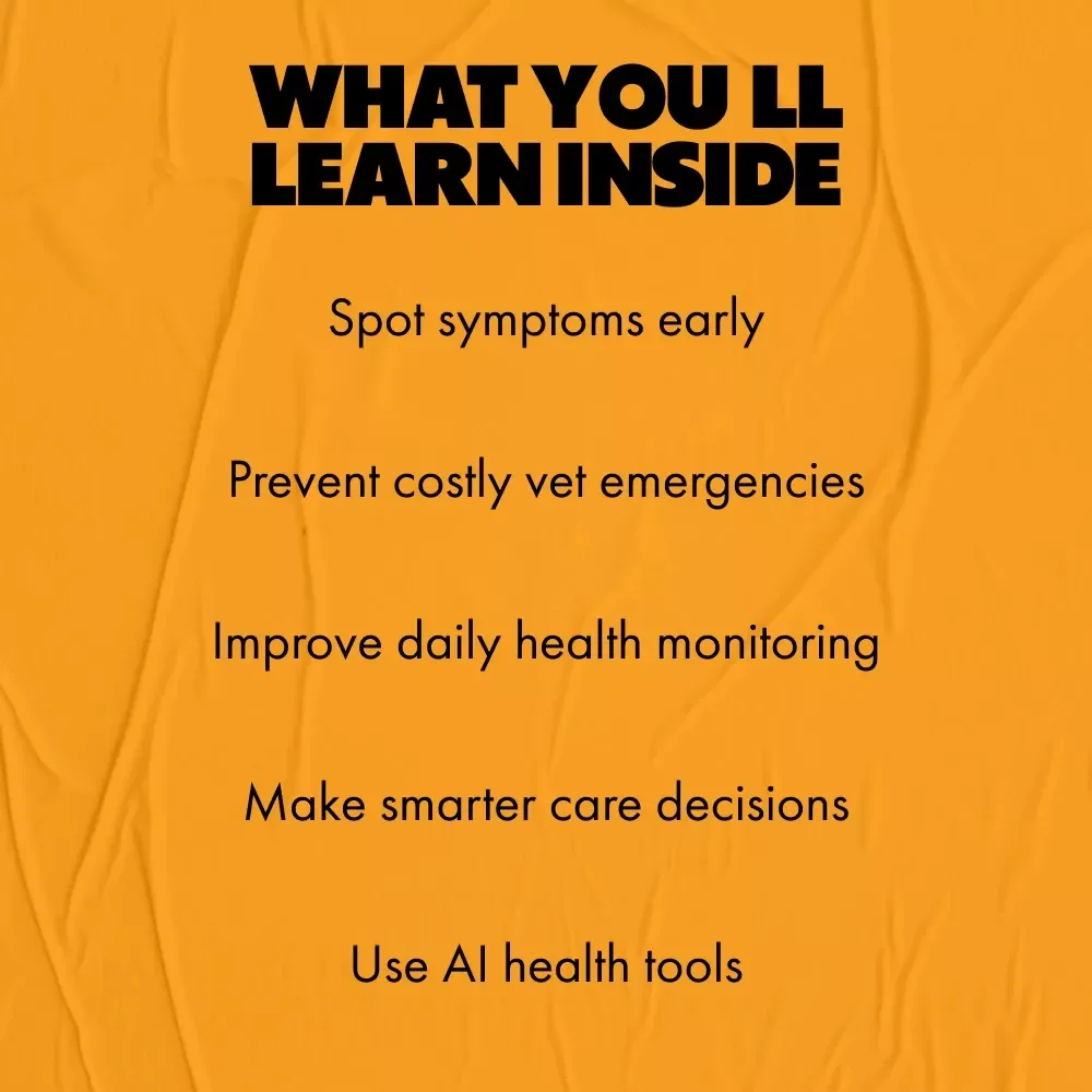 Managing the Most Common Cat Illnesses – Practical eBook Guide for Cat Owners