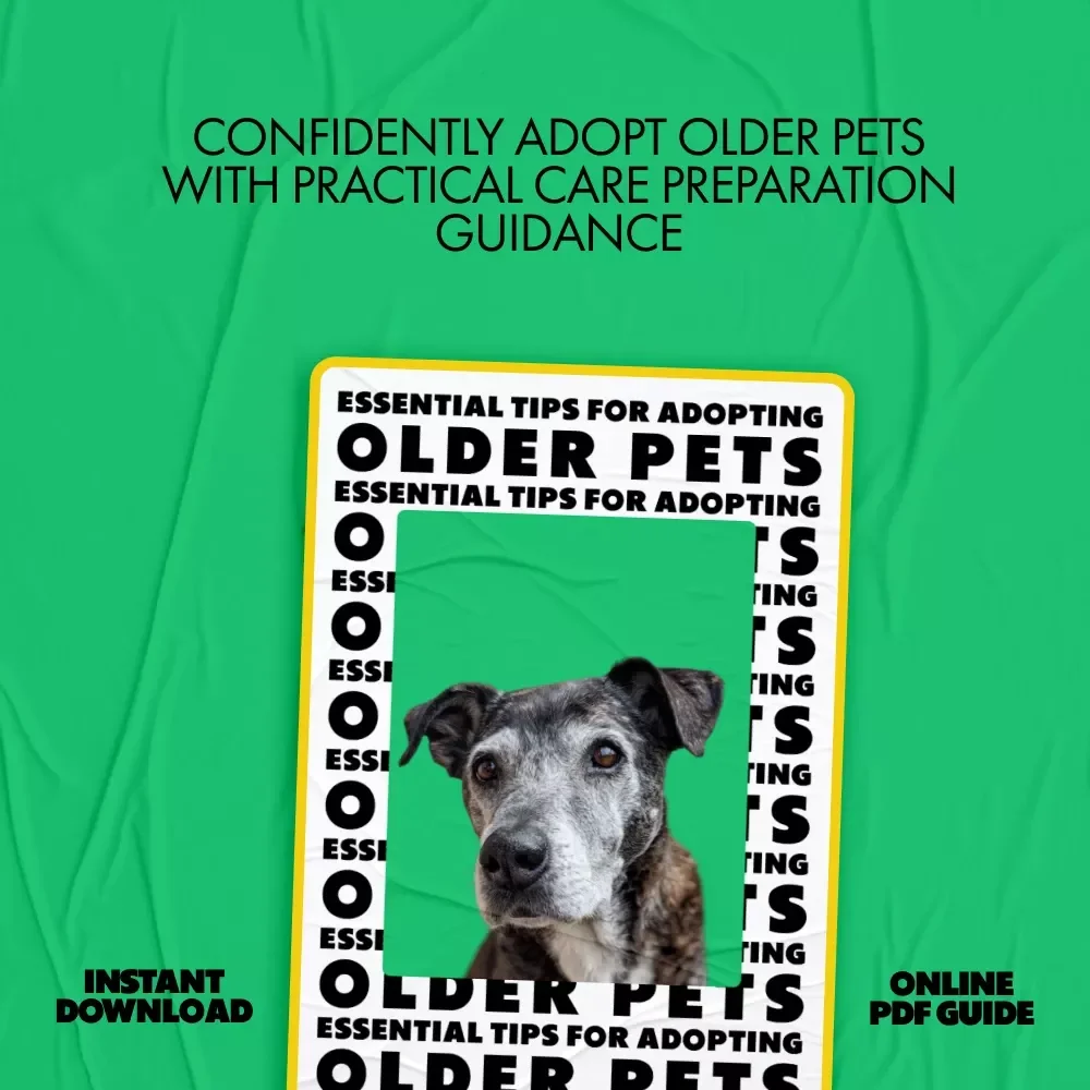 Essential Tips for Adopting Older Pets | Practical Guide with Proven Tips for Adopting Older Pets & Creating a Loving Forever Home