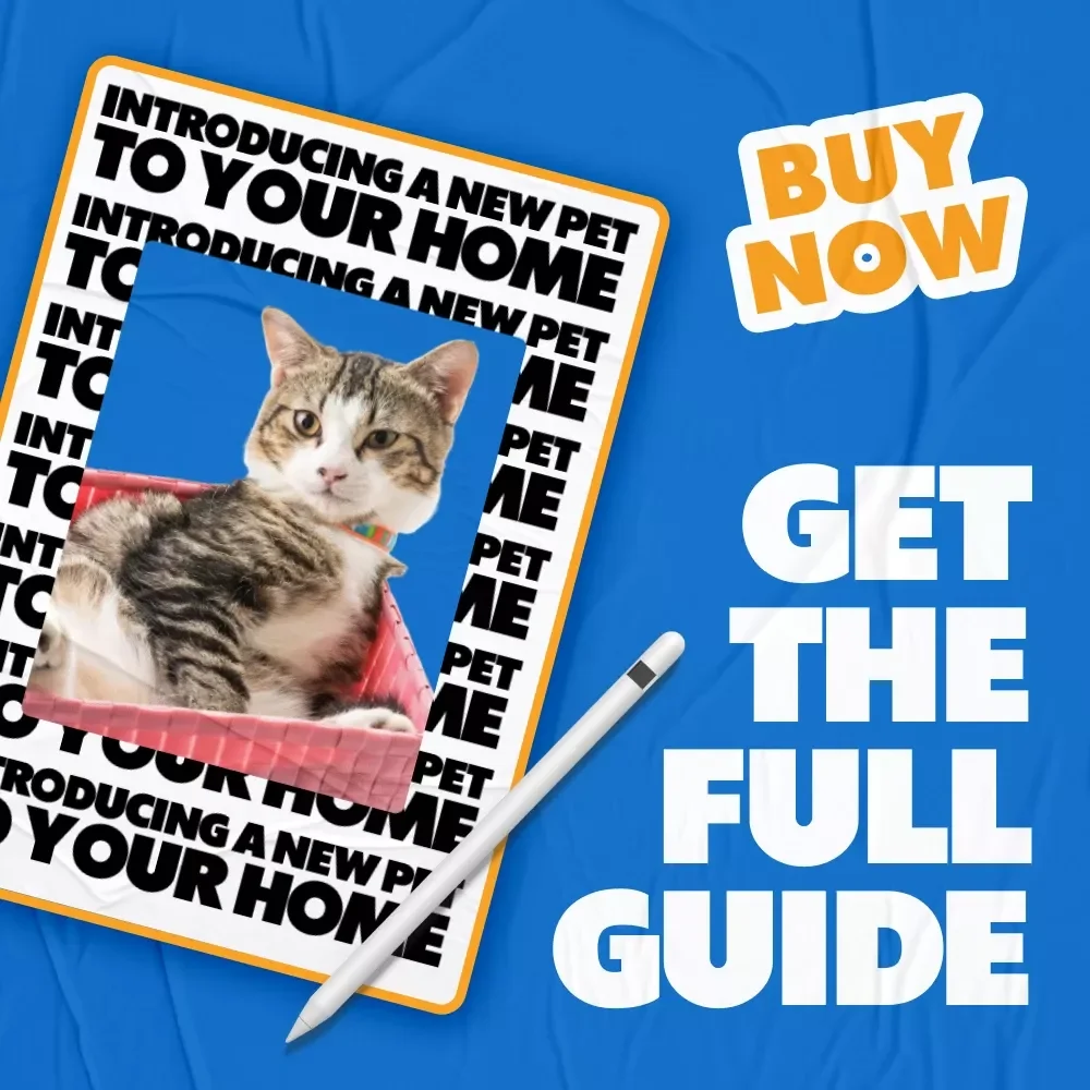 Introducing a New Pet to Your Home: Your Ultimate Guide to a Smooth Transition