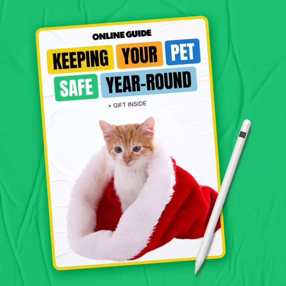 Keeping Your Pet Safe Year-Round: Essential Guide to Seasonal Pet Safety