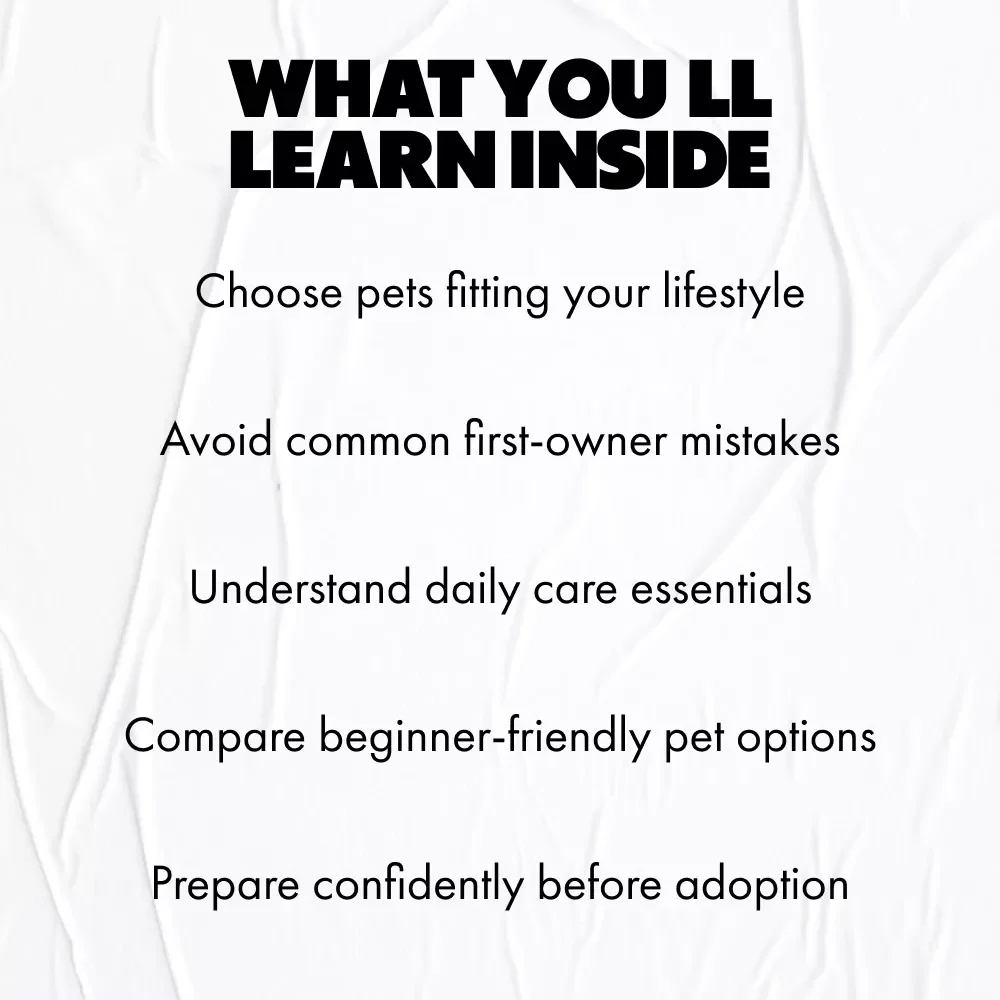 A Beginner’s Guide to Your First Pet – An Easy eBook for Choosing Pets That Are Good for First Time Owners, Confident Care & Smart Decisions