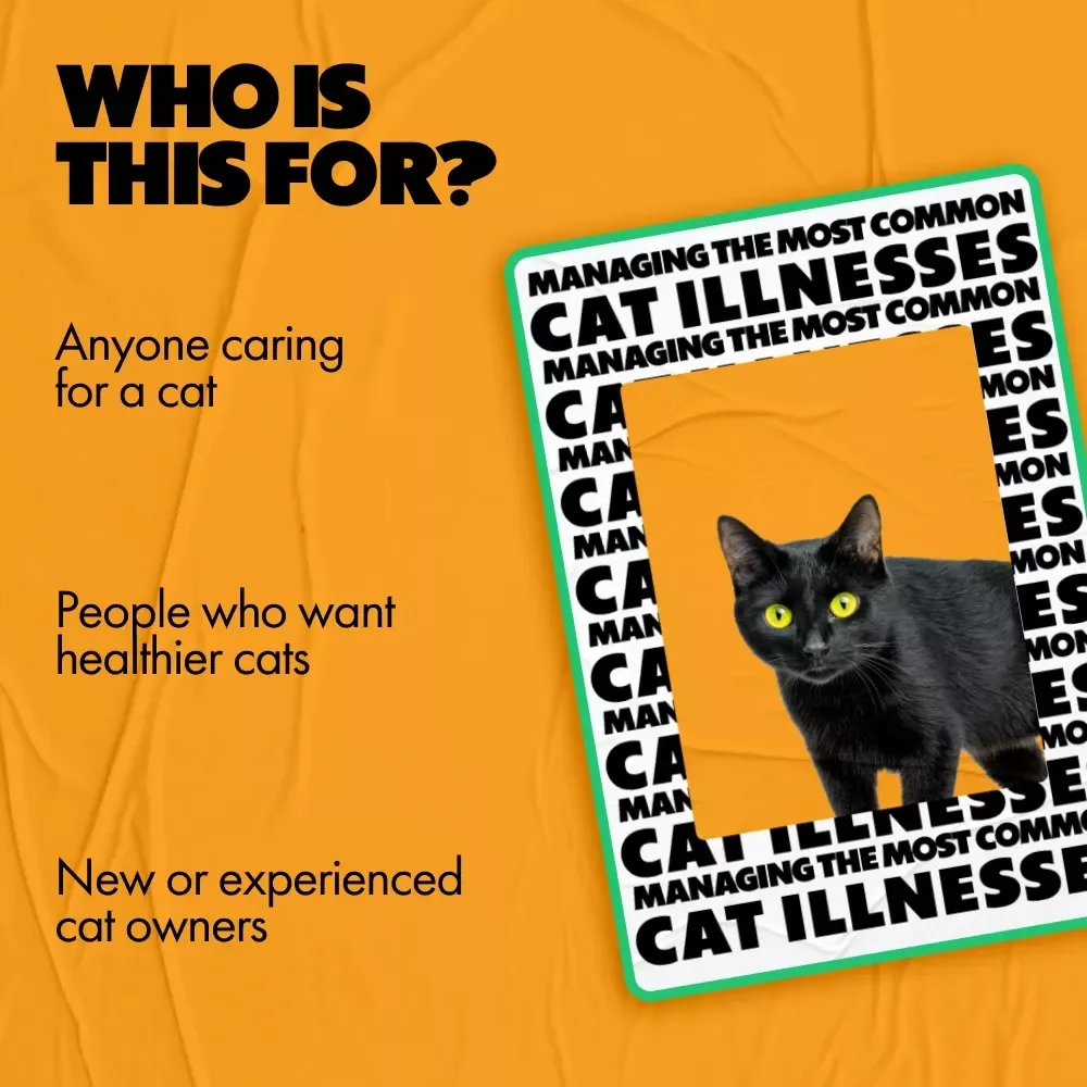 Managing the Most Common Cat Illnesses – Practical eBook Guide for Cat Owners