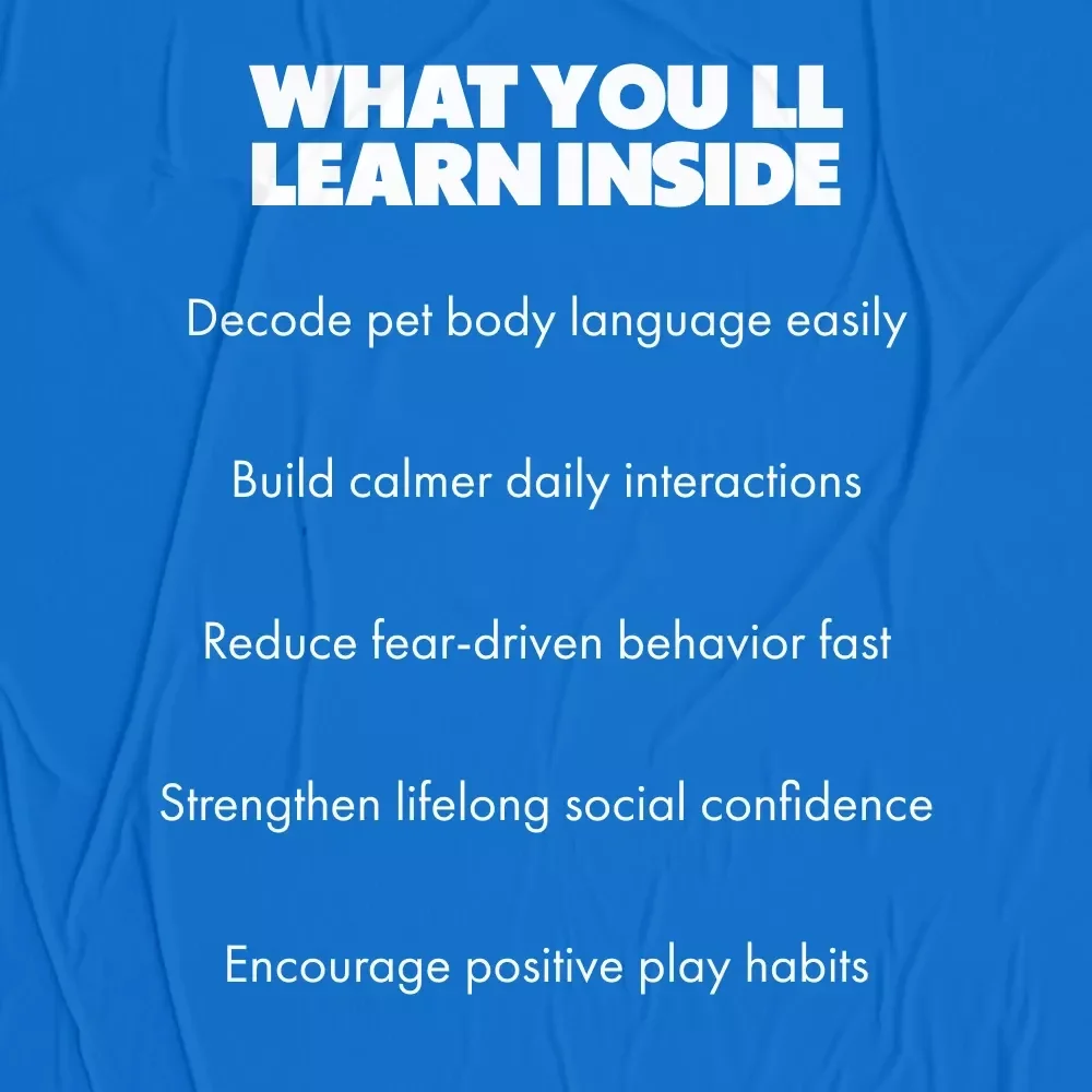Understanding Pet Social Behavior Basics | Digital Download eBook for Pet Parents | Guide to Training, Social Skills & Early Socialization | pet social behavior basics