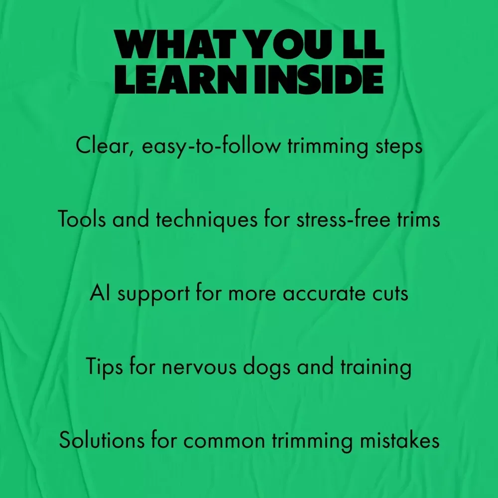 Dog Nail Trimming Guide: Expert Tips, Tools, and Techniques for Healthy Paws