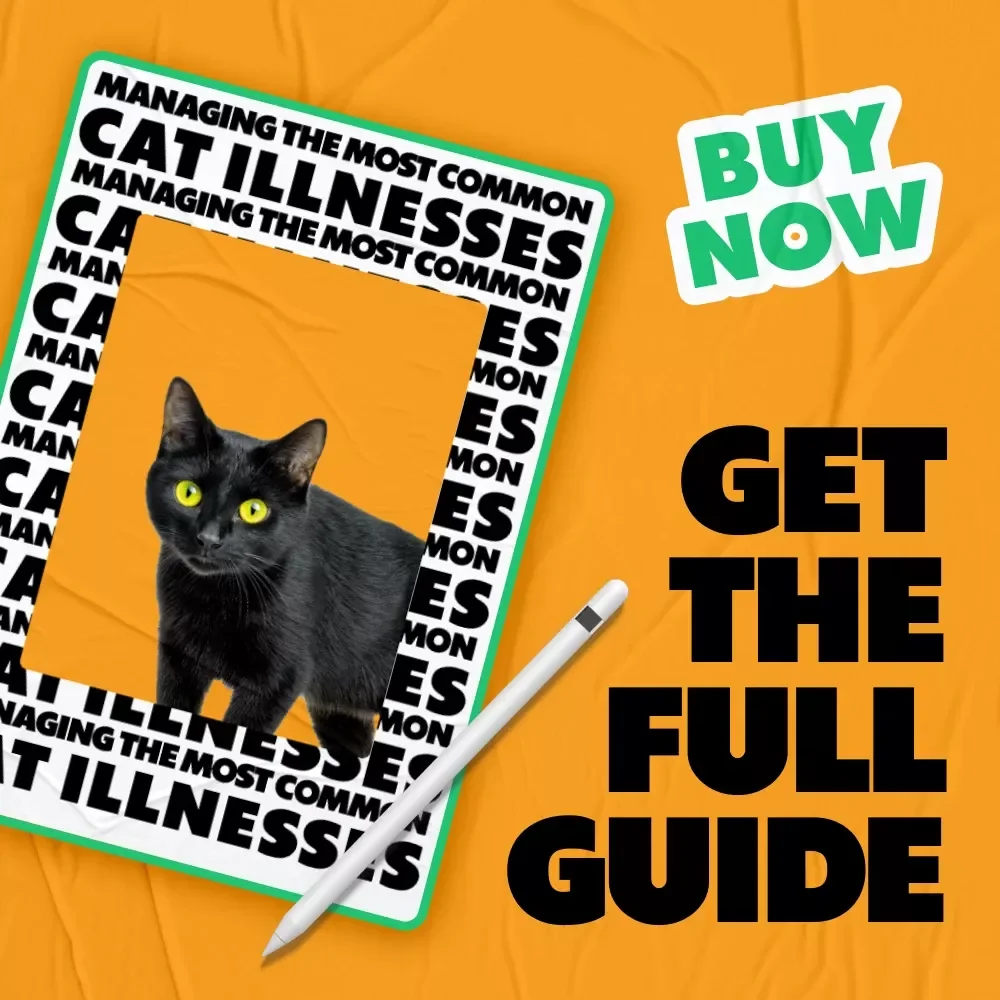 Managing the Most Common Cat Illnesses – Practical eBook Guide for Cat Owners