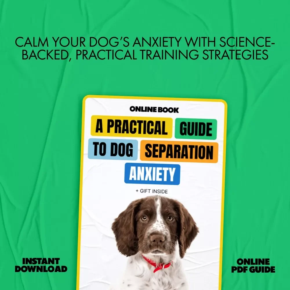 A Practical Guide to Dog Separation Anxiety – In-Depth eBook for Understanding, Training, and Managing dog separation anxiety