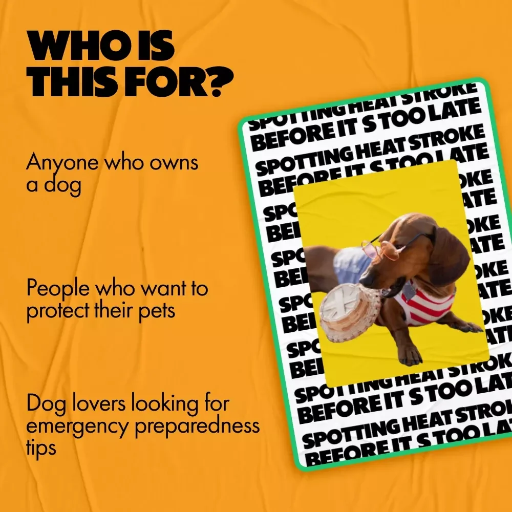 Spotting Heat Stroke Before It’s Too Late: A Comprehensive Guide for Dog Owners