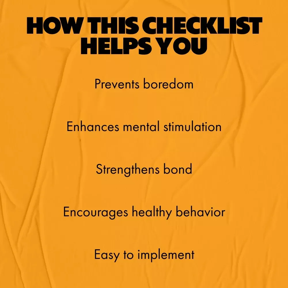 The Indoor Cat Enrichment Checklist: Best Indoor Enrichment for Cats to Keep Them Happy and Stimulated