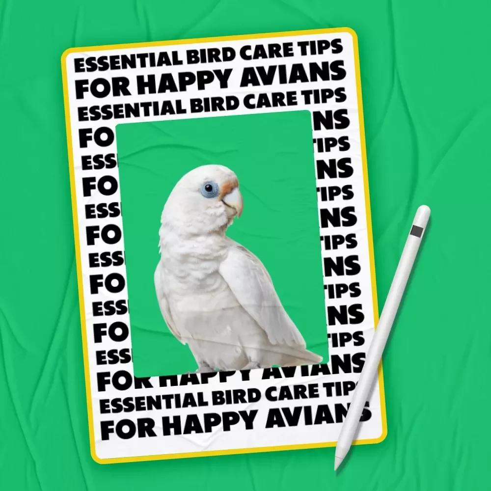 Essential Bird Care Tips for Happy Avians – Practical Bird Care Tips eBook for New & Experienced Bird Owners, Complete Guide to Healthy, Happy Pet Birds
